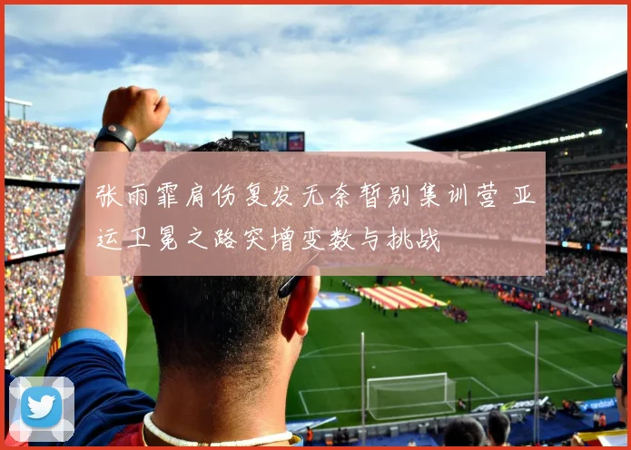 张雨霏肩伤复发无奈暂别集训营 亚运卫冕之路突增变数与挑战