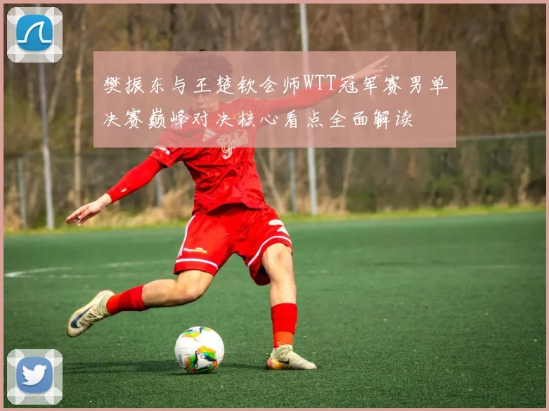 樊振东与王楚钦会师WTT冠军赛男单决赛巅峰对决核心看点全面解读