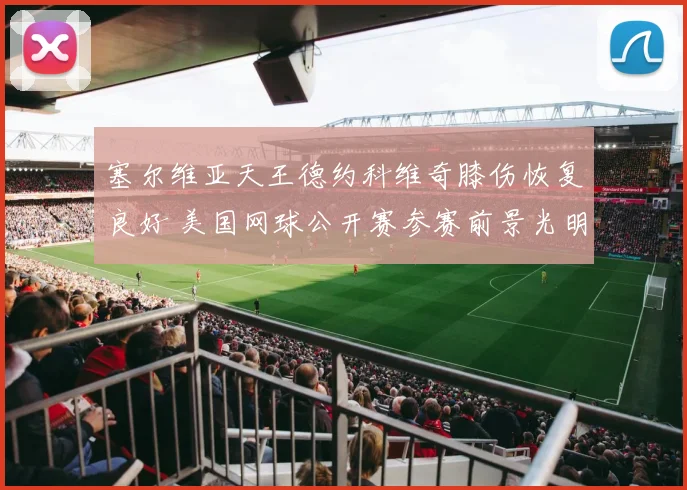 塞尔维亚天王德约科维奇膝伤恢复良好 美国网球公开赛参赛前景光明
