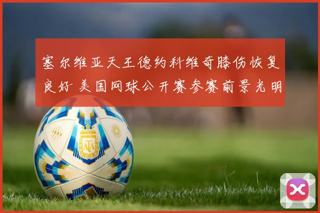 塞尔维亚天王德约科维奇膝伤恢复良好 美国网球公开赛参赛前景光明