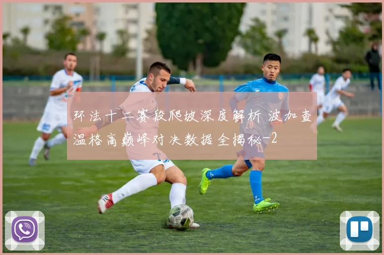 环法十二赛段爬坡深度解析 波加查温格高巅峰对决数据全揭秘