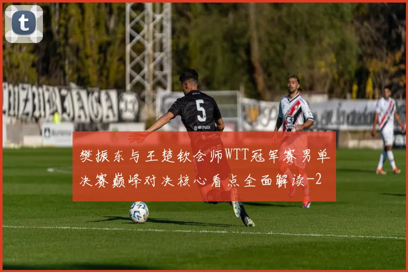 樊振东与王楚钦会师WTT冠军赛男单决赛巅峰对决核心看点全面解读